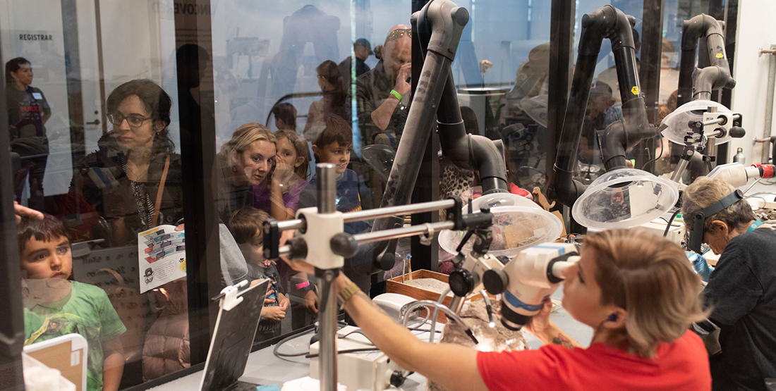 Visitors watching fossil preparators work on fossils in the fossil prep lab